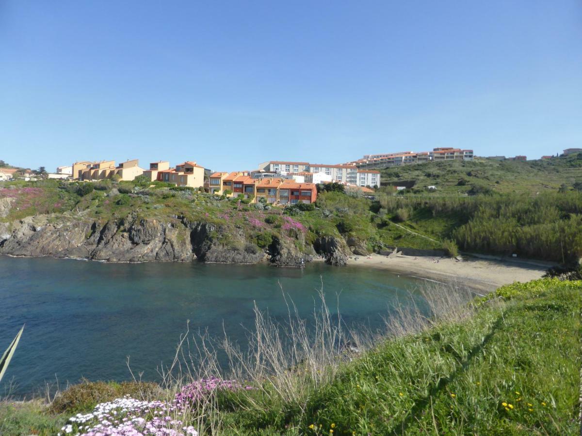 Appartement Les Roches Bleues - 4Rb67 Collioure Eksteriør bilde