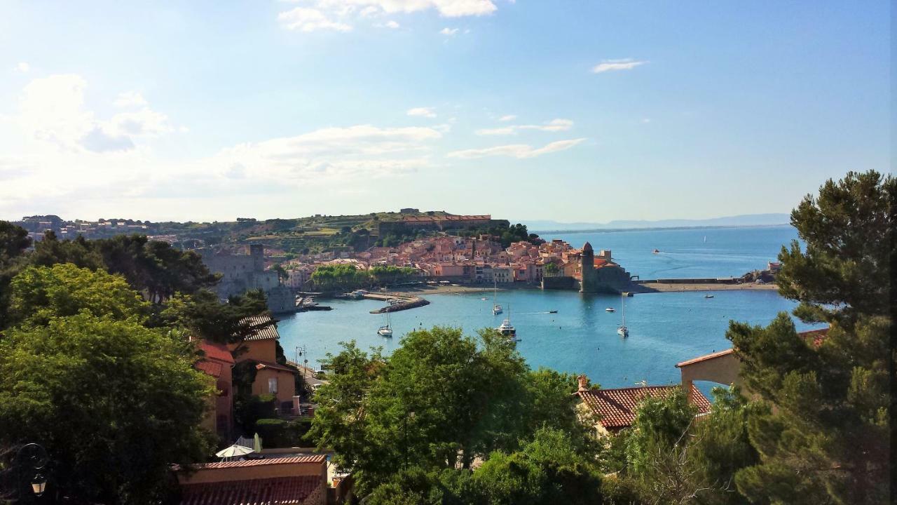 Appartement Les Roches Bleues - 4Rb67 Collioure Eksteriør bilde